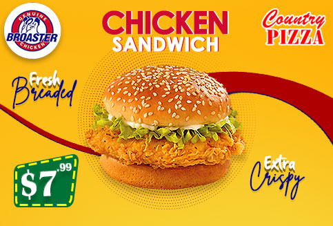 Chicken Sandwich Only